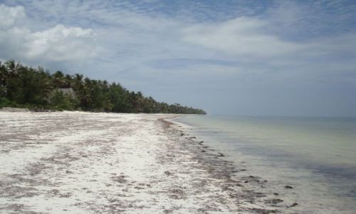 Zdjecie TANZANIA / brak / Zanzibar / Plaza