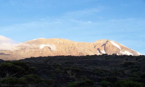 Zdjecie TANZANIA / brak / Kilimanjaro / Kili