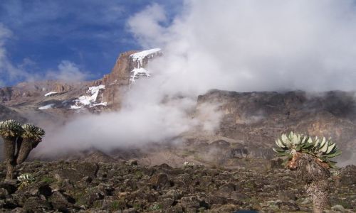 Zdjcie TANZANIA / brak / Kilimanjaro / Kili
