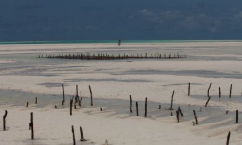 Zdjecie TANZANIA / Zanzibar / Jambiani / Odplyw