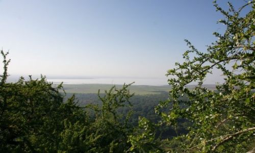 Zdjęcie TANZANIA / Wielka Dolina Ryftowa / Panorama Camp / Jezioro Manyara