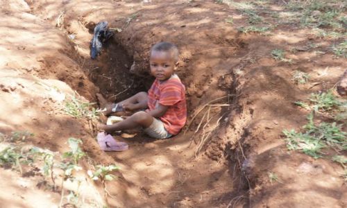 Zdjęcie TANZANIA / Manyara / Manyara Kibawoni / W piaskownicy