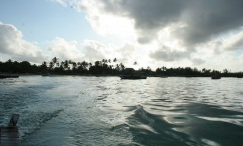 Zdjecie TANZANIA / zanzibar / zanzibar / nad wod