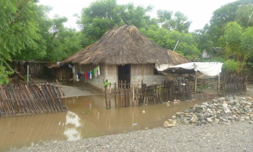 Zdjecie TIMOR WSCHODNI / Oecussi / Ambeno / Domostwo
