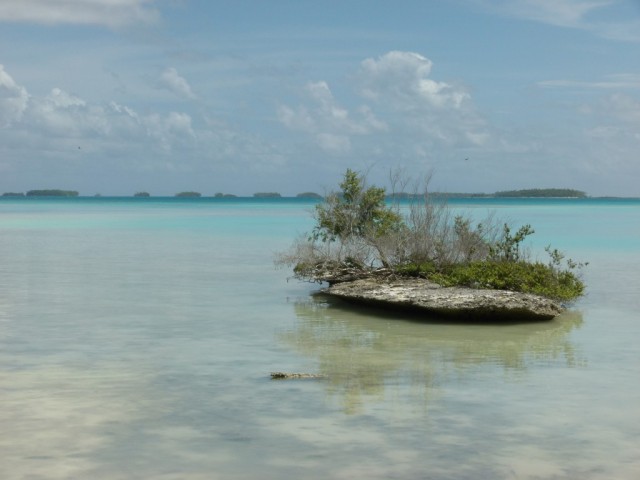 Zdj cia: Atafu, Atafu, Laguna, TOKELAU (Nowa Zelandia) Zdj cia: Atafu, Atafu, Laguna, TOKELAU (Nowa Zelandia)
