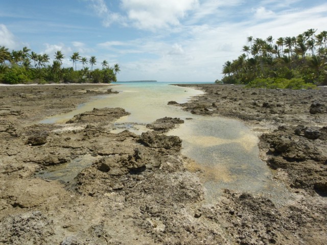 Zdj cia: Atafu, Tokelau, Na rafie, TOKELAU (Nowa Zelandia) Zdj cia: Atafu, Tokelau, Na rafie, TOKELAU (Nowa Zelandia)