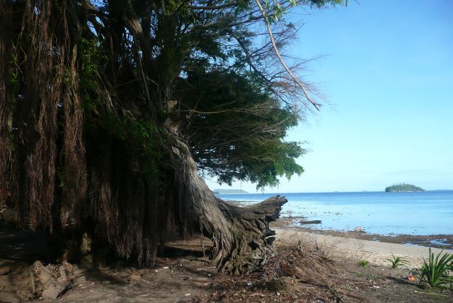 Zdjęcia: Pacific, Vava'u, Tapana, TONGA Zdjęcia: Pacific, Vava'u, Tapana, TONGA