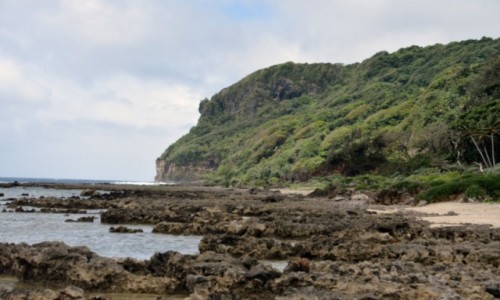 Zdjęcie TONGA / Eua / Park Narodowy Eua / Trudno się tu dostać