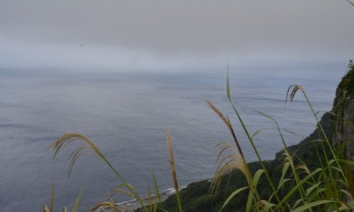 Zdjęcie TONGA / Eua / Park Narodowy Eua / Czasem się patrzy z góry