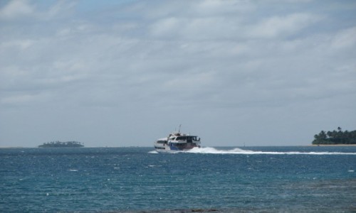 Zdjecie TONGA / Tonaga Tapu / NUKU