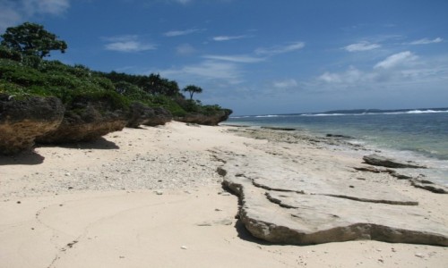 Zdjecie TONGA / Tonaga Tapu / NUKU
