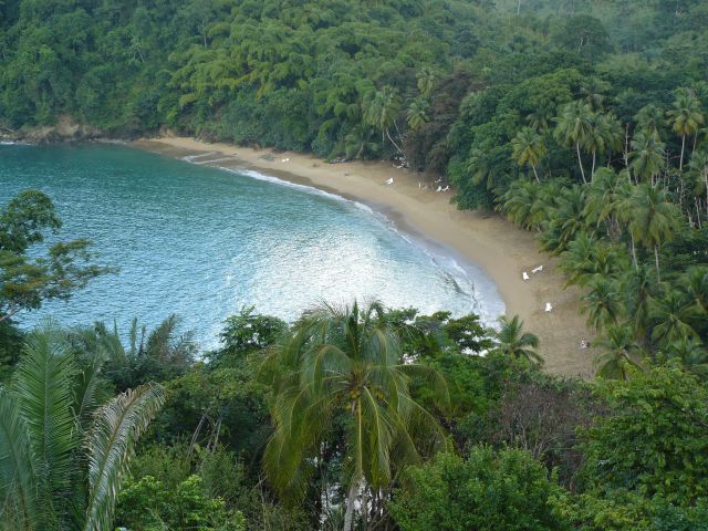 Zdjęcia: englishman bay, tobago, englishman bay, TRYNIDAD I TOBAGO Zdjęcia: englishman bay, tobago, englishman bay, TRYNIDAD I TOBAGO