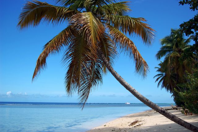 Zdjęcia: Crown Point, Tobago, Most inviting beach scene, TRYNIDAD I TOBAGO Zdjęcia: Crown Point, Tobago, Most inviting beach scene, TRYNIDAD I TOBAGO