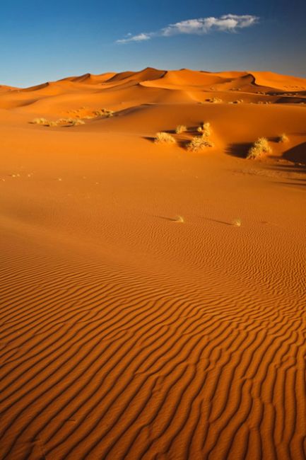 Zdjęcia: Douz, Kebili, desert, TUNEZJA Zdjęcia: Douz, Kebili, desert, TUNEZJA