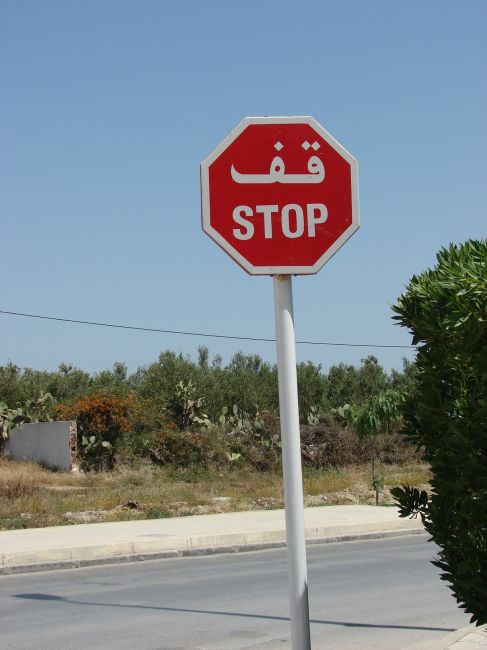 Zdjęcia: Hamamet, hamamet, stop, TUNEZJA Zdjęcia: Hamamet, hamamet, stop, TUNEZJA