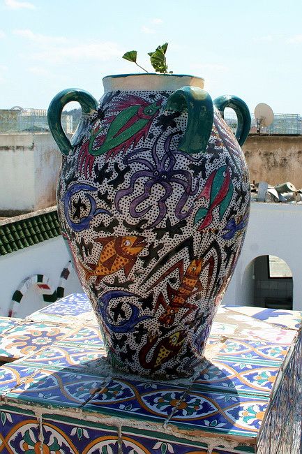 Zdjęcia: Tunis, Tunis, Donica jak malowana, TUNEZJA Zdjęcia: Tunis, Tunis, Donica jak malowana, TUNEZJA