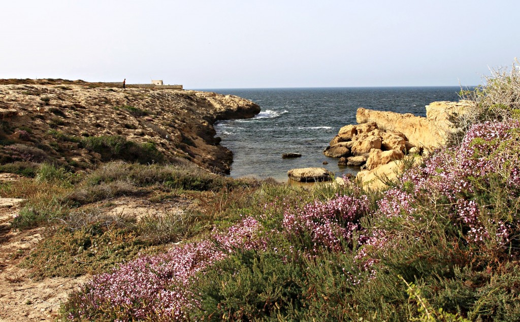 Zdjęcia: Monastir, środkowej części wschodniego wybrzeża, Wybrzeże Monastyru, TUNEZJA Zdjęcia: Monastir, środkowej części wschodniego wybrzeża, Wybrzeże Monastyru, TUNEZJA