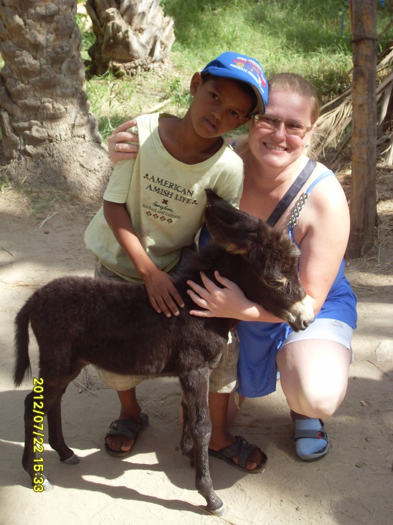 Zdjęcia: Plantacja daktyli, Tozeur, Mali przyjaciele, TUNEZJA Zdjęcia: Plantacja daktyli, Tozeur, Mali przyjaciele, TUNEZJA