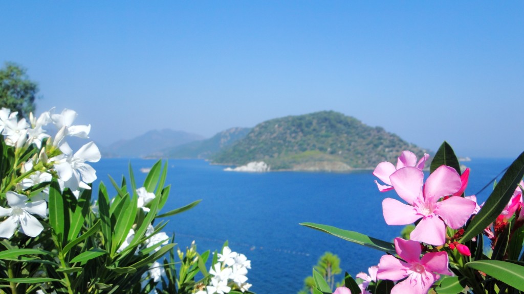 Zdjęcia: Marmaris, Wyspa żółwia, TUNEZJA Zdjęcia: Marmaris, Wyspa żółwia, TUNEZJA