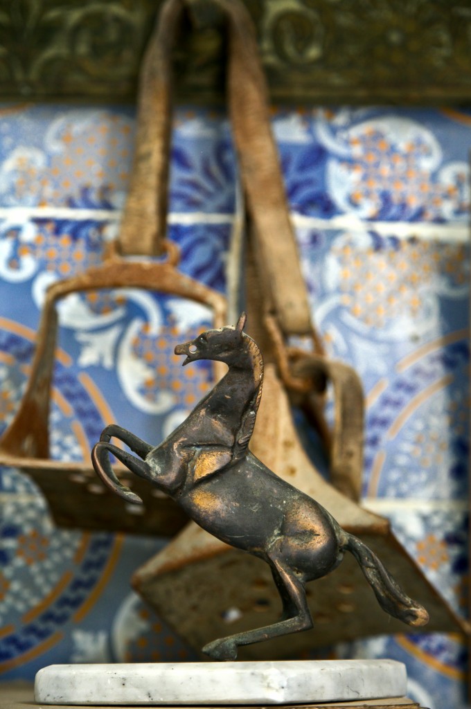 Zdjęcia: Sousse , Na końskim grzbiecie..., TUNEZJA Zdjęcia: Sousse , Na końskim grzbiecie..., TUNEZJA