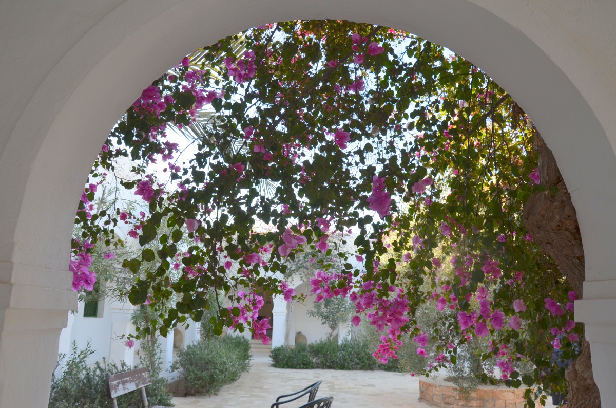 Zdjęcia: Tunis, Nad Zatoką Tuniską Morza Śródziemnego, Sidi Bou Said, TUNEZJA Zdjęcia: Tunis, Nad Zatoką Tuniską Morza Śródziemnego, Sidi Bou Said, TUNEZJA