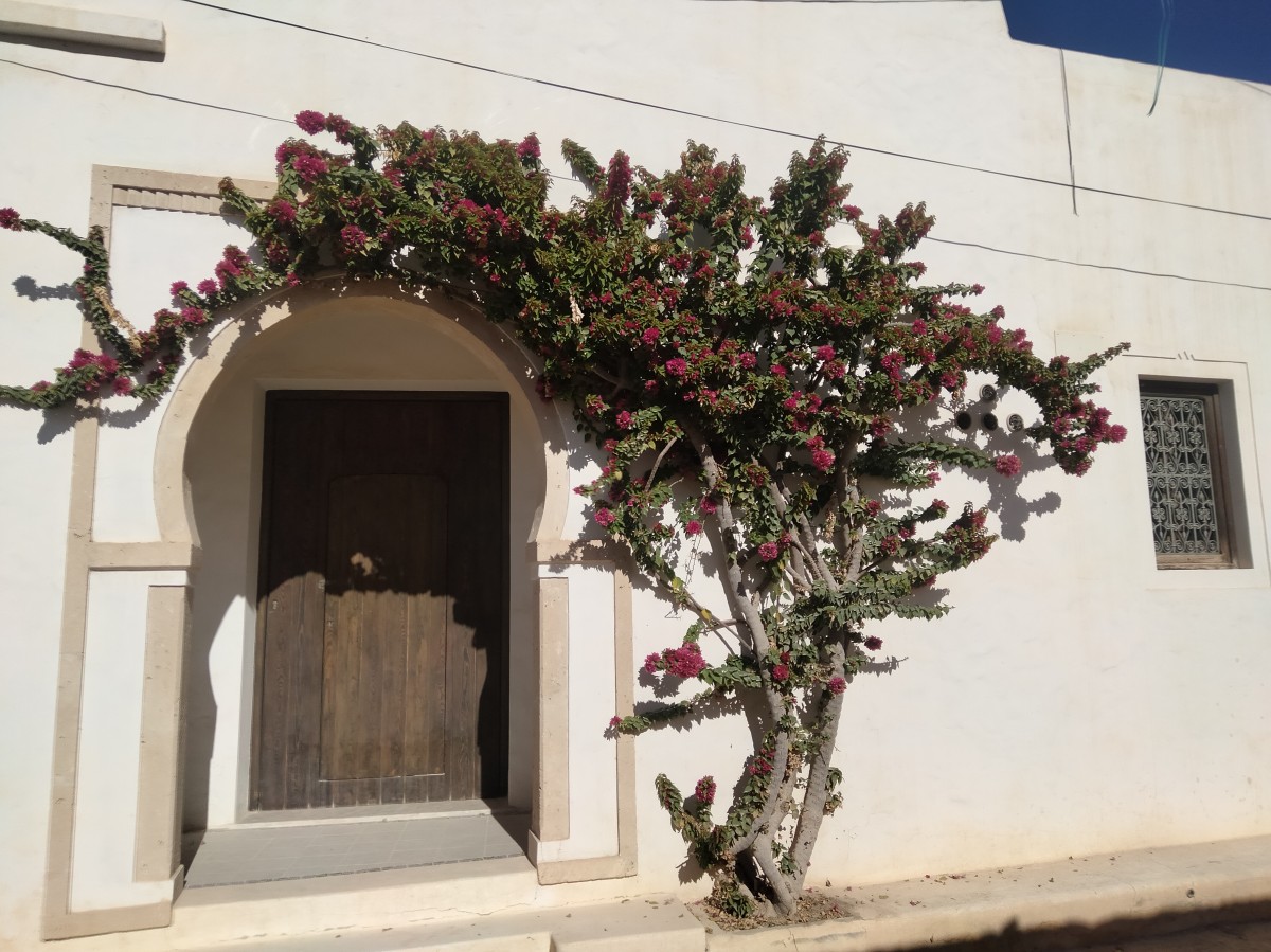 Zdjęcia: Guellala, Wyspa Djerba, Drzwi w Guellala, TUNEZJA Zdjęcia: Guellala, Wyspa Djerba, Drzwi w Guellala, TUNEZJA