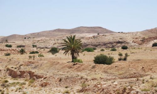 Zdjęcie TUNEZJA / Sahara / Stara Matmata / Na pustyni
