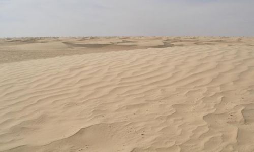 Zdjęcie TUNEZJA / Douz / Sahara / Na Saharze