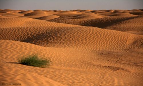 Zdjecie TUNEZJA / Sahara / Ksar Ghiliane / konkurs