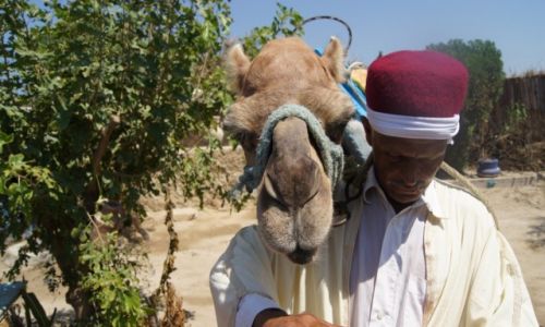 Zdjęcie TUNEZJA / Borj Cedria / Borj Cedria / Beduin