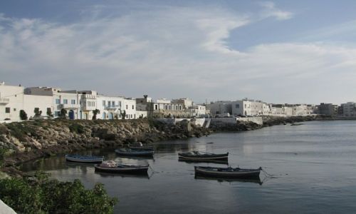 Zdjęcie TUNEZJA / wybrzeże śródziemnomorskie / Mahdia / port rybacki