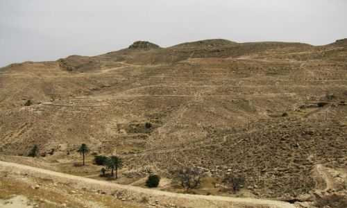Zdjęcie TUNEZJA / góry Dżebel / okolice Matmaty / pustynia
