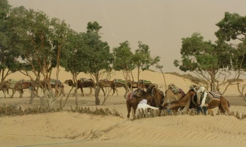 Zdjęcie TUNEZJA / . / okolice Matmaty / na pustyni