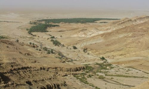 Zdjcie TUNEZJA / . / okolice Touzer / pustynia