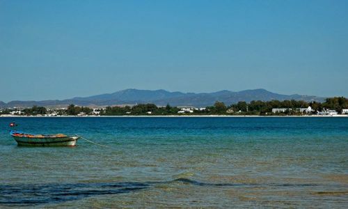 Zdjecie TUNEZJA / Hammamet / Hammamet  / Hammamet