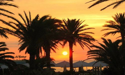 Zdjecie TUNEZJA / brak / Sousse / wakacje