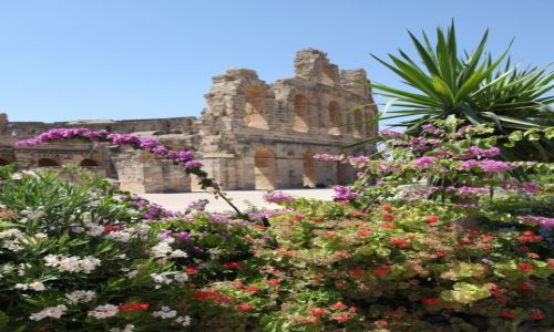 Zdjcie TUNEZJA /  Sahel Tunezyjski / El Jem / Widok z ogrodu