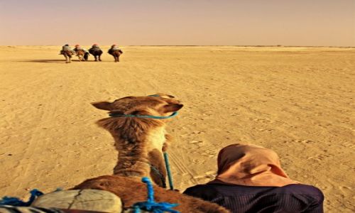 Zdjecie TUNEZJA / Sahara / Sahara /  Po Sahar i jej czarowne oazy.