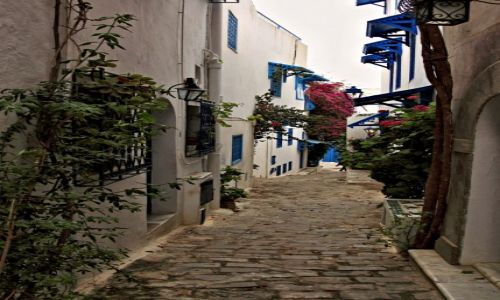 Zdjecie TUNEZJA / - / Wioska Sidi Bou Saïd, / Sidi Bou Said to jedno z najbardziej malowniczych miejsc w Tunezji