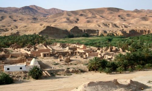 Zdjcie TUNEZJA / Sahara / Tamerza / Zapomniana oaza