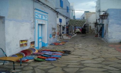 Zdjecie TUNEZJA / Nabul / Hammamet / Hammamet