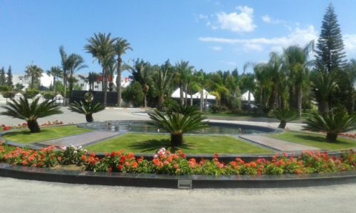 Zdjecie TUNEZJA / Hammamet / Hammamet / Cisza