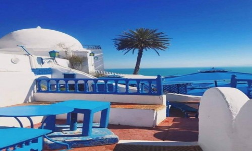 Zdjecie TUNEZJA / - / Tunis / TUNEZJA