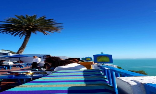 Zdjecie TUNEZJA / - / Tunis / Poudniowa sjesta 