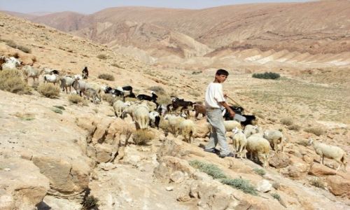 Zdjęcie TUNEZJA / Tunezja południowa / okolice Mides / Droga do Mides