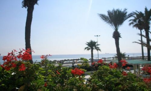Zdjęcie TUNEZJA / brak / Sousse / Rue de la Cornuche