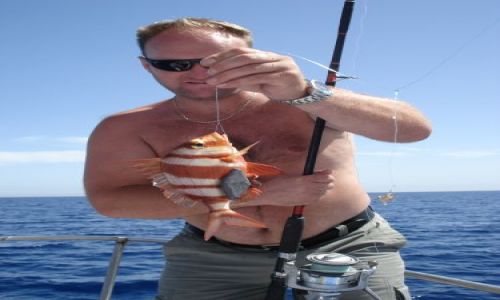 Zdjęcie TUNEZJA / port el kantui / morze / złota rybka?