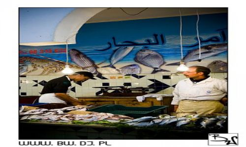 Zdjęcie TUNEZJA / SOUSSE  / SOUSSE  / TUNEZYJCZYCY