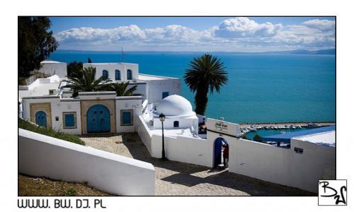 Zdjcie TUNEZJA / TUNEZJA / SIDI BOU SAID / SIDI BOU SAID