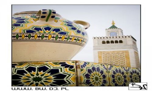 Zdjęcie TUNEZJA / TUNIS / TUNIS / TUNIS